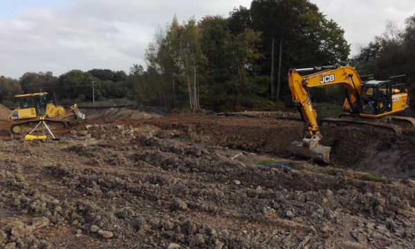 Dark pond changes direction - Cranleigh Brickworks